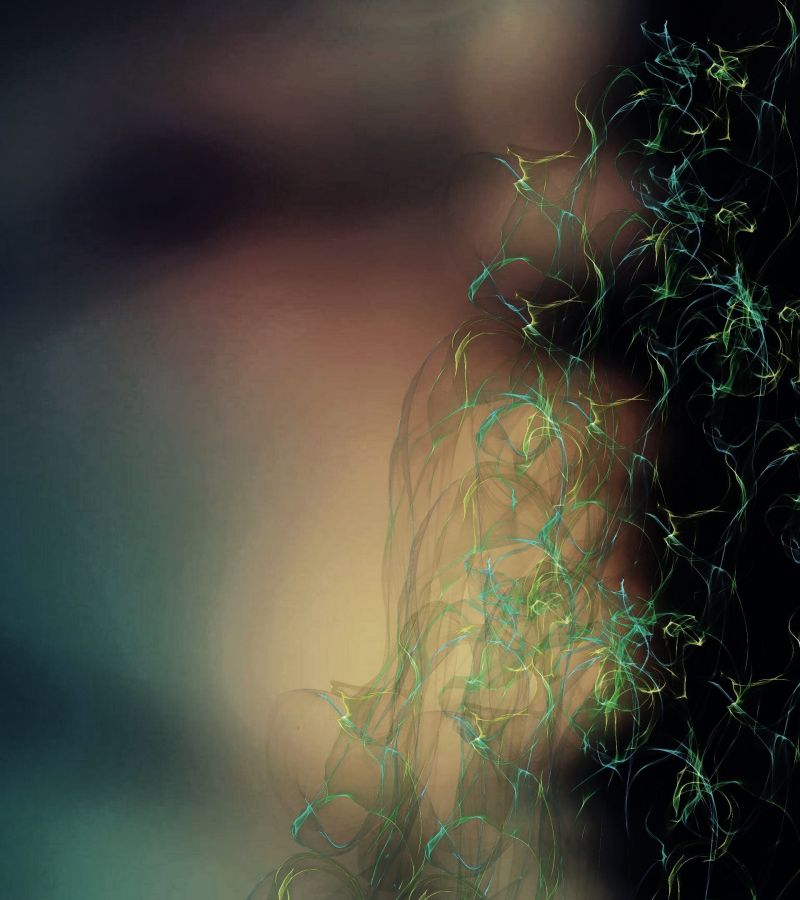 阳光,晚,性质,反射,草,科