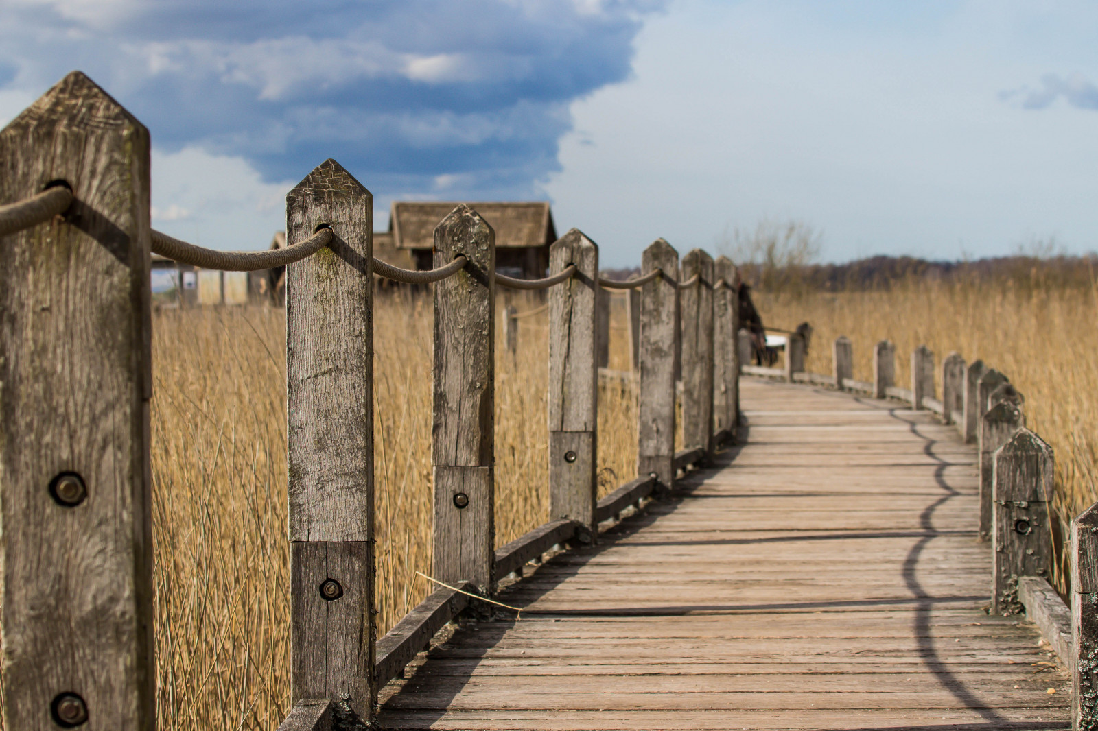 Wallpaper : wall, wood, bridge, fence, dock, path, pathway, walkway ...