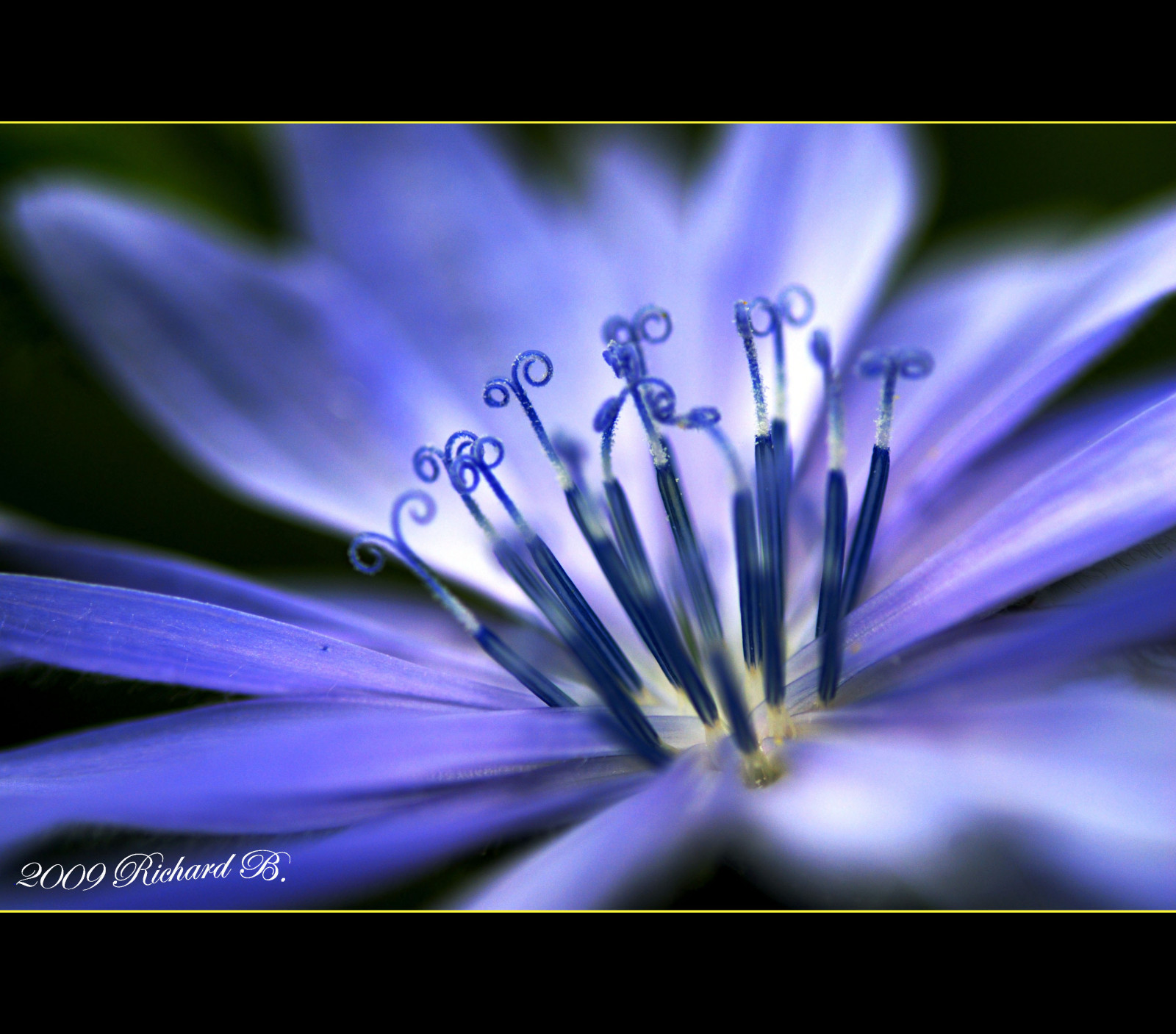 My Image 11