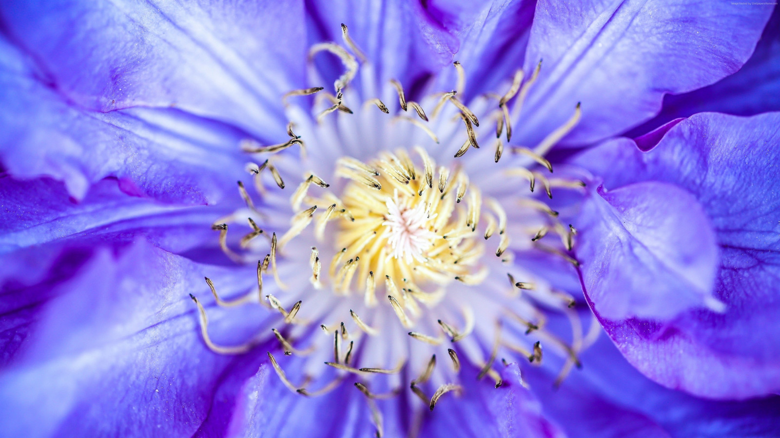 Wallpaper : 3840x2160 px, photography 3840x2160 - wallpaperUp - 1225046 ...