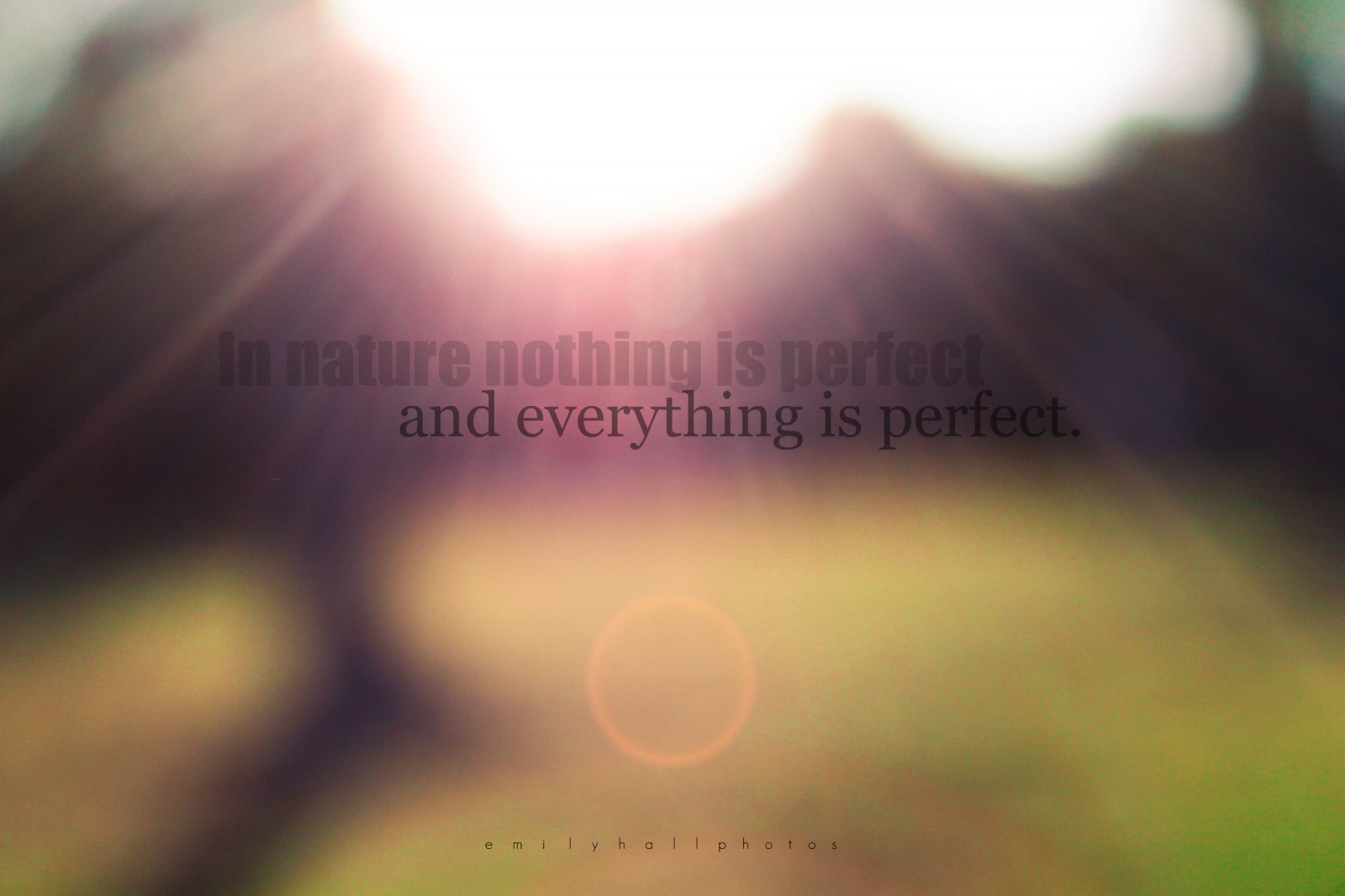 slunečnímu záření, Příroda, tráva, nebe, fotografování, nachový, text, zelená, žlutý, ráno, slunce, Kánon, atmosféra, bokeh, růžový, tóny, rebel, Ann, světlo, je, duha, světlice, hala, nic, 365, perfektní, emily, rozostřený, T1i, počítač tapeta, Atmosféra Země, font, zblízka, makro fotografie, jev, stock photography