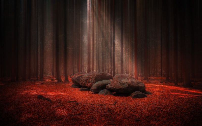 Sonnenlicht, Bäume, Landschaft, Wald, fallen, Blätter Sonnenlicht, Bäume, Landschaft, Wald, fallen, Blätter