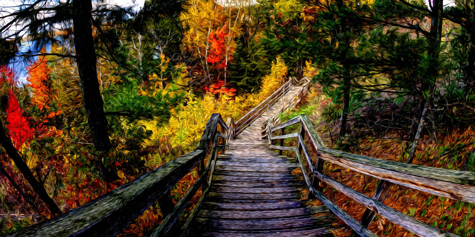 les, podzim, Příroda, větev, řeka, Kánon, Spojené státy americké, schody, říjen, džungle, cesta, visutý most, schodiště, Michigan, deštný prales, přírodní rezervace, rybí oko, strom, podzim, list, rostlina, stezka, CS5, canon5d, zálesí, počítač tapeta, prales, smíšený les, opadavý, laboratoř, národní park, bufet, pixelbender, Canonef15mmf28fisheye, Upnorth, Ausable, Labcolor, Ioscocounty, Ef15mmf28fisheyeusm, valdivian temperate rain forest