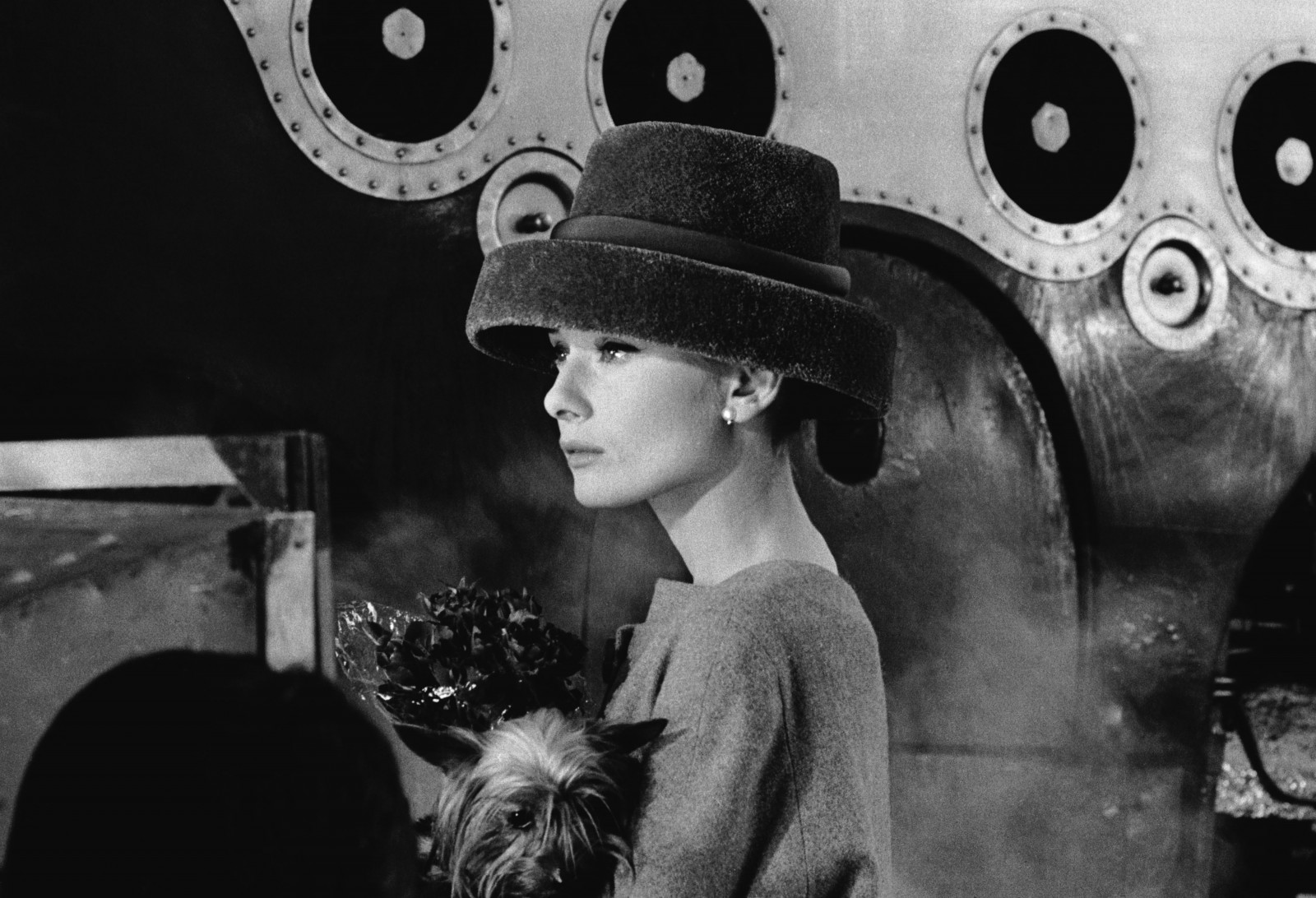 Černá, ženy, černobílý, herečka, Pes, Audrey Hepburn, fotografie, Černý a bílý, monochromatické fotografování, Film noir