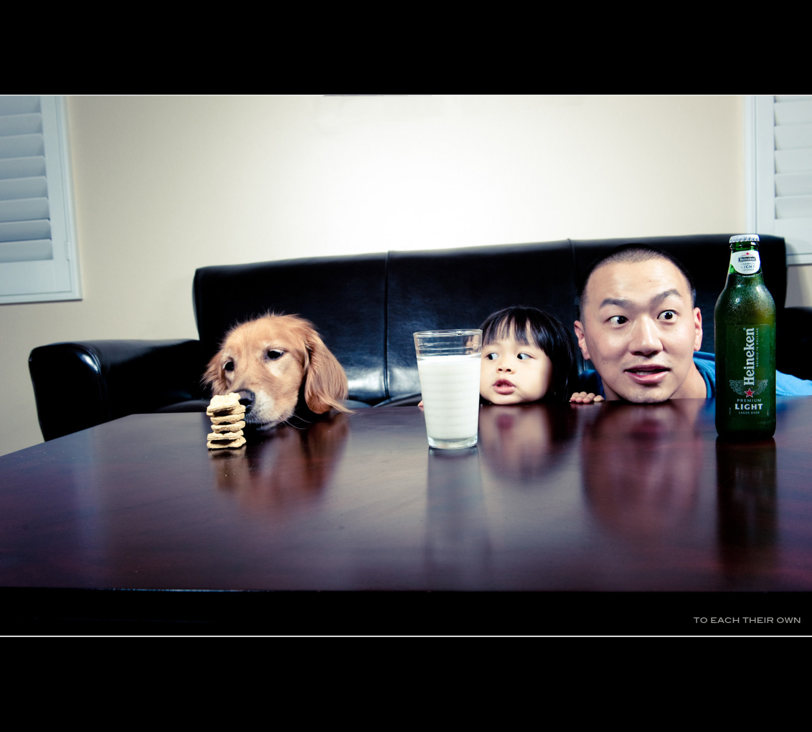 Pes, pivo, deštník, Kánon, Heineken, stůl, zlatý, mléko, Nikon, batole, 14, dcera, retriever, gauč, ii, kráska, sušenky, Westcott, Kayla, sb800, Beauty Dish, strobist, pocketwizardplus, SB900, 580exii, nikond700, nikonstrobist, nikon2470, lumodi