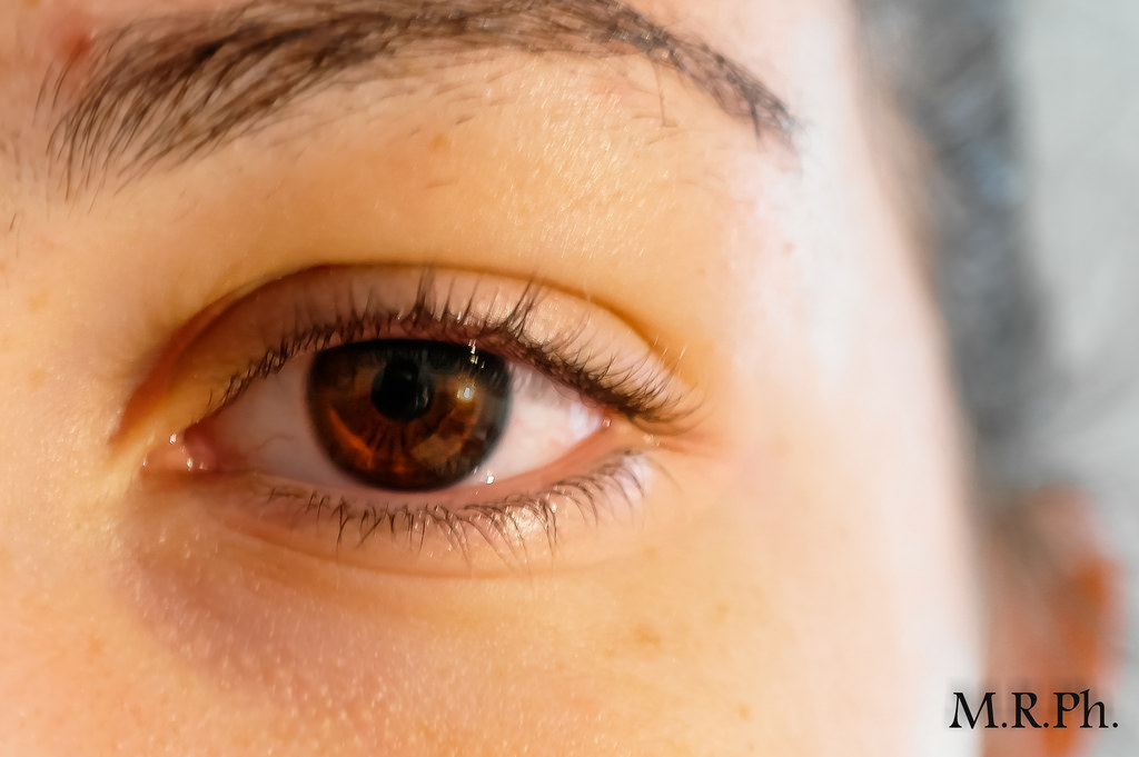 světlo, hnědý, oko, oči, přítel, Marroni, Occhi, Amica