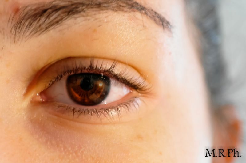 světlo,hnědý,oko,oči,přítel,Marroni