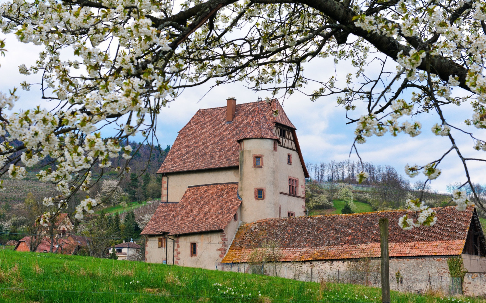 Fondos de pantalla : edificio, césped, naturaleza, cielo 2560x1600
