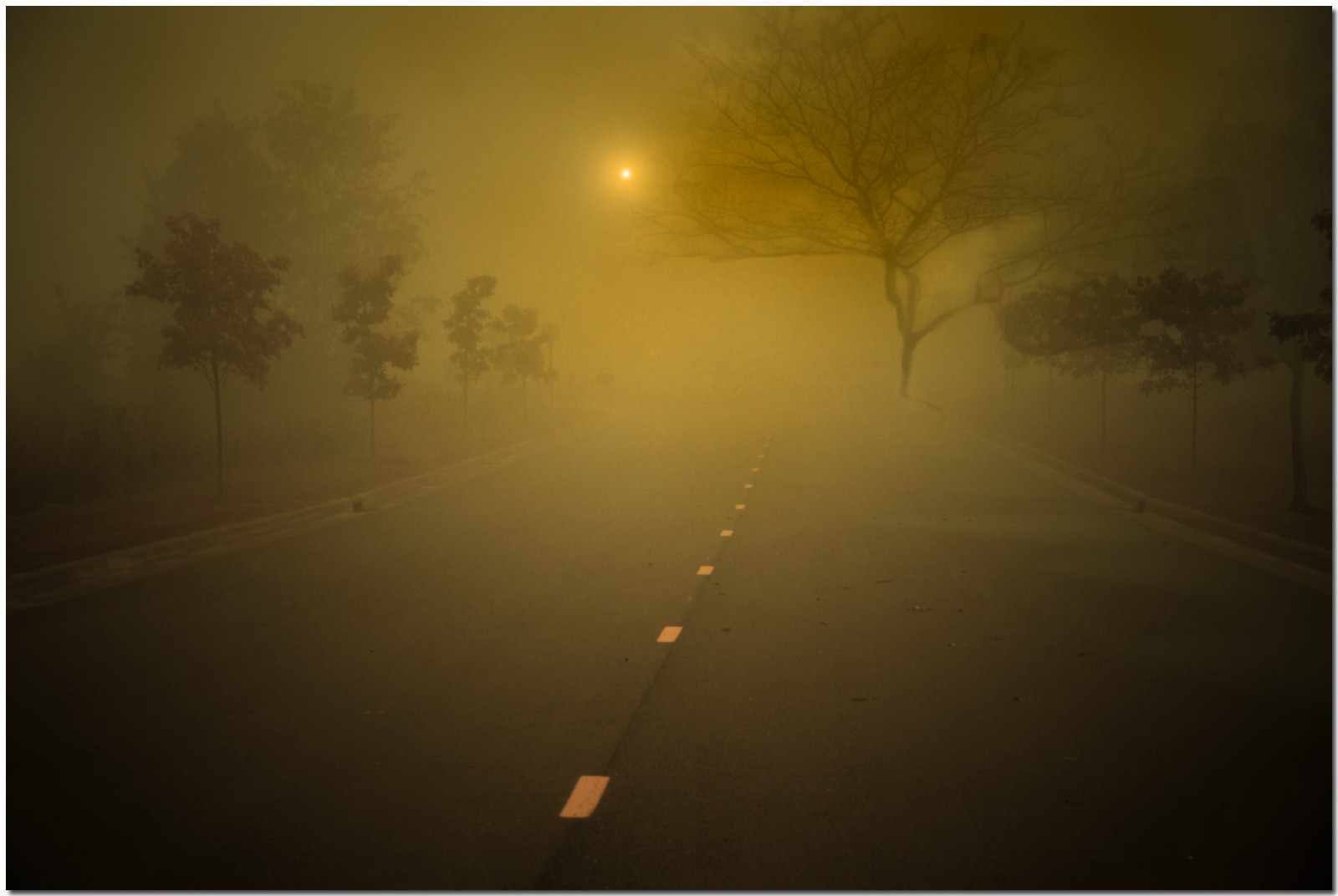 ulice, silnice, čáry, stromy, Příroda, krajina, mimo, venku, svítání, západ slunce, slunce, mlha, mlha, stín, lookinglass, nikond80, Minnesota, Oakdale, rozhodnutí lidí, abigfave, excapture, tajemný, Be1of100