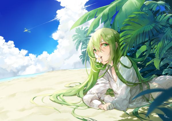 Fate Grand Order,Fate Series,FGO,2D,anime boys,femboy