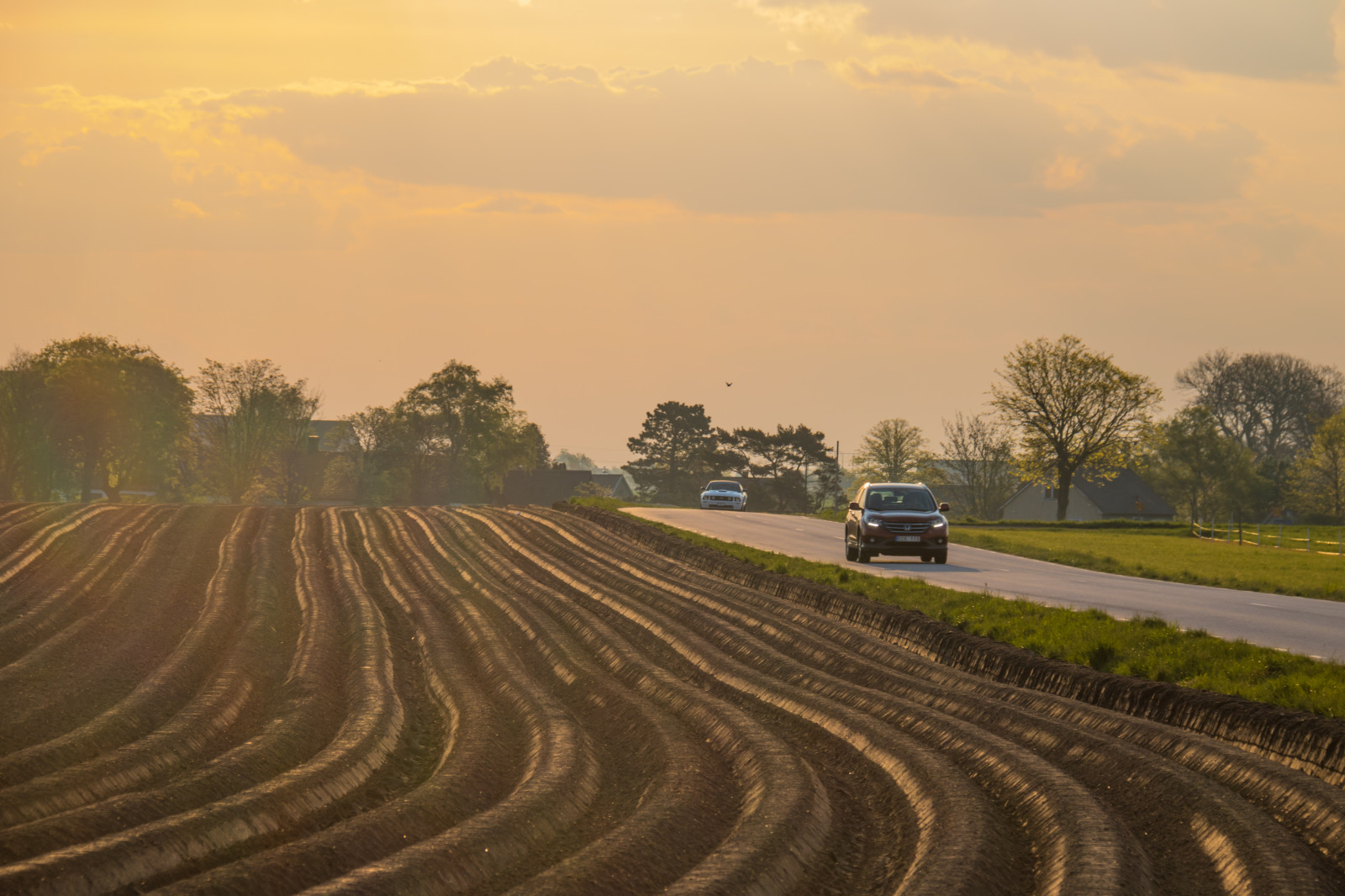 landskab, solnedgang, bakke, himmel, Mark, vej, aften, morgen, horisont, hovedvej, transportere, kørsel, infrastruktur, Sky, landskabet, landsbygd, v g, s dersl tt, landskap, Morgon, gisl v, landbrug, almindeligt, prærie, afgrøde, jord, landdistrikt, atmosfærisk fænomen, græs familie, tur