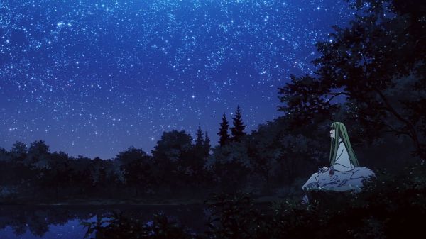 Fate Series,Fate strange Fake,Gilgamesh,Enkidu FGO