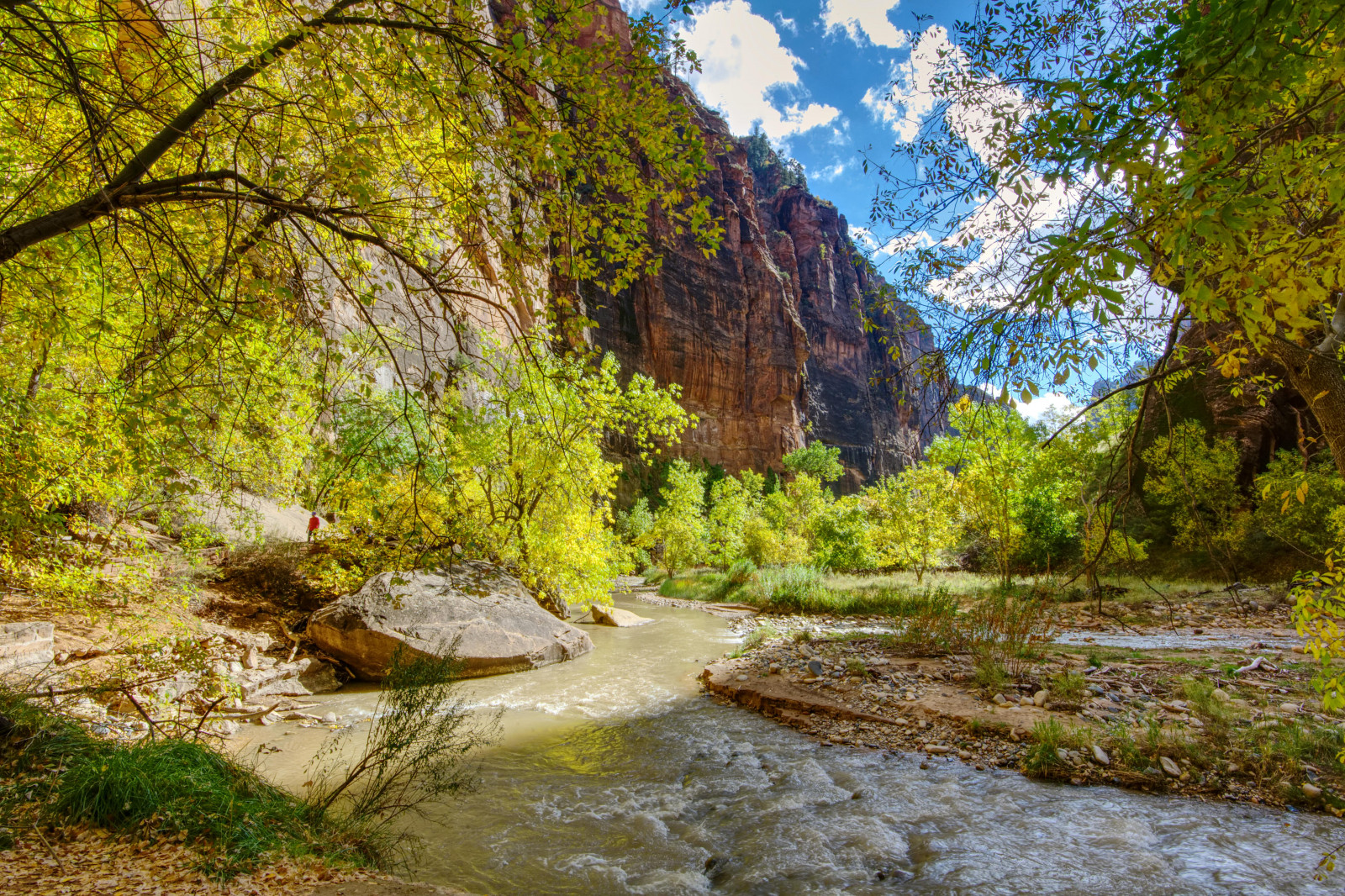 træer, landskab, Skov, efterår, klippe, udendørs, flod, erosion, dal, canyon, ødemark, strøm, slugt, 2016, Land, træ, efterår, blad, udendørs, sæson, uden for, sti, vandrere, klipper, Hurtig, skov, ut, bouldersstonerocks, diciduoustrees, northforkofthevirginriverut, oktober, Broadways, thenarrows, zionnp, landskabsform, geografisk funktion, økosystem