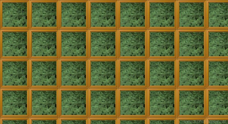 สี่เหลี่ยมผืนผ้า,ไม้,สิ่งทอ,ใบไม้,พืชพันธุ์,ผนัง