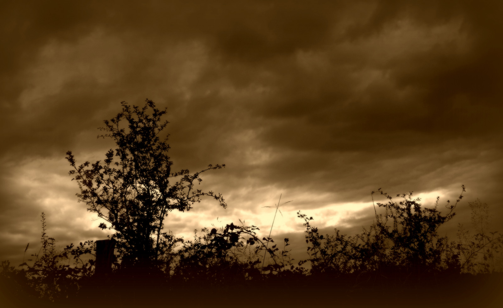 nebe, mrak, strom, atmosféra, večer, větev, Atmosféra Země, tma, ráno, soumrak, jev, meteorologický jev, svítání, slunečnímu záření, počítač tapeta, krajina, západ slunce, svítání, horizont, noc, Černý a bílý, stock photography, větvička