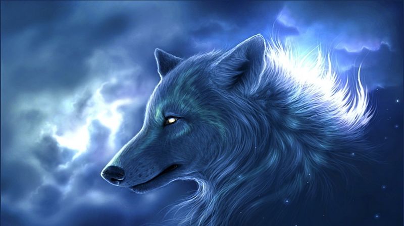 ilustrace, zvěř, fantasy umění, vlk, Snímek obrazovky, počítač tapeta ilustrace, zvěř, fantasy umění, vlk, Snímek obrazovky, počítač tapeta