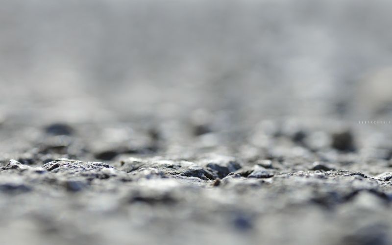 la neve, inverno, ghiaccio, monocromo, acqua, ramo