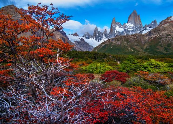 trees,landscape,forest,fall,mountains,nature
