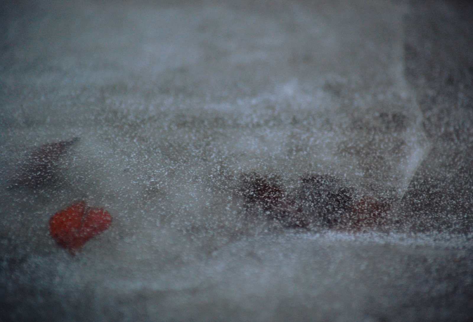 voda, Příroda, sníh, zima, led, mráz, textura, atmosféra, Nikon, bokeh, zmrazení, DX, NIKKOR, natur, ed, vr, AFS, 145 56g, 55 300 mm, eis, zblízka, makro fotografie, jev