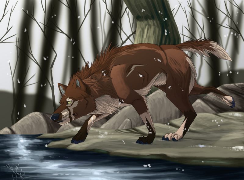 ilustrace, zvěř, anime, umělecká díla, vlk, Snímek obrazovky ilustrace, zvěř, anime, umělecká díla, vlk, Snímek obrazovky