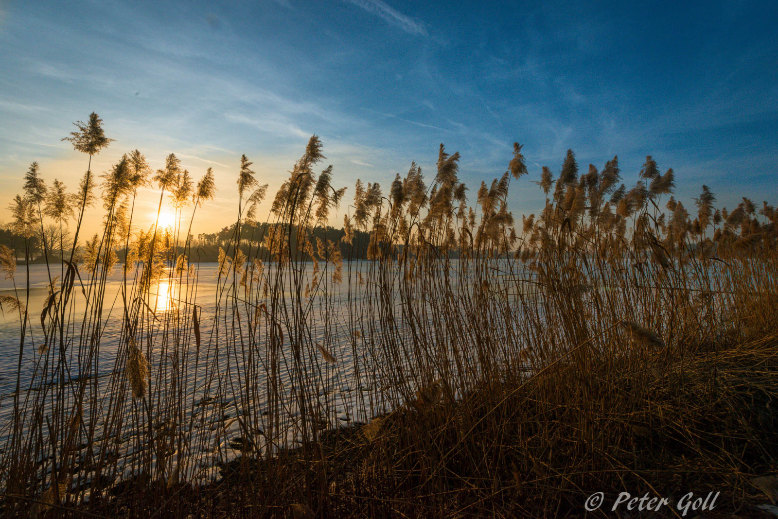 แสงแดด, แนวนอน, พระอาทิตย์ตก, เนินเขา, ทะเลสาบ, ธรรมชาติ, การสะท้อน, หญ้า, ท้องฟ้า, หิมะ, ฤดูหนาว, พระอาทิตย์ขึ้น, สีน้ำเงิน, น้ำแข็ง, ตอนเย็น, เช้า, เยอรมนี, ขอบฟ้า, Nikon, ถิ่นทุรกันดาร, บ่อน้ำ, พลบค่ำ, บาวาเรีย, กก, พื้นที่ชุ่มน้ำ, บ้านเกิดเมืองนอน, 2016, เมฆ, ต้นไม้, nikkor, ฤดูใบไม้ร่วง, ภูเขา, รุ่งอรุณ, ฤดู, himmel, natur, deutschland, Bayern, sonnenuntergang, d800, Blau, erlangen, ทุ่งหญ้า, eis, บึง, ถิ่นที่อยู่, สภาพแวดล้อมทางธรรมชาติ, ปรากฏการณ์บรรยากาศ, ไม้ยืนต้น, ระบบนิเวศ, ครอบครัวหญ้า, dechsendorf, dechsendorfweiher, heimat, fr nkisch, eisfl che, weiher, dechsendorferweiher, schilfgras