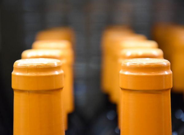 yellow, food, bottles, glasses, wine, drink