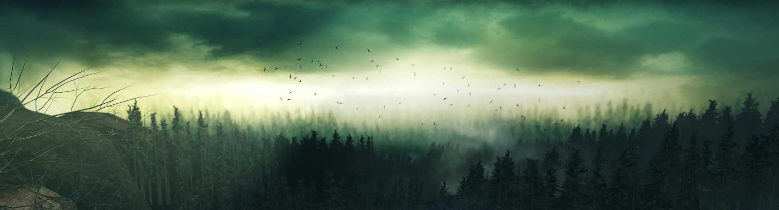 verde, natura, atmosfera, cielo, ecosistema, acqua, atmosfera della terra, mattina, albero, luce del sole, erba, fenomeno, foresta, oscurità, orizzonte, nebbia, sfondo del computer, paesaggio, bioma, calma, sera, Aurora, ramo, stock photography