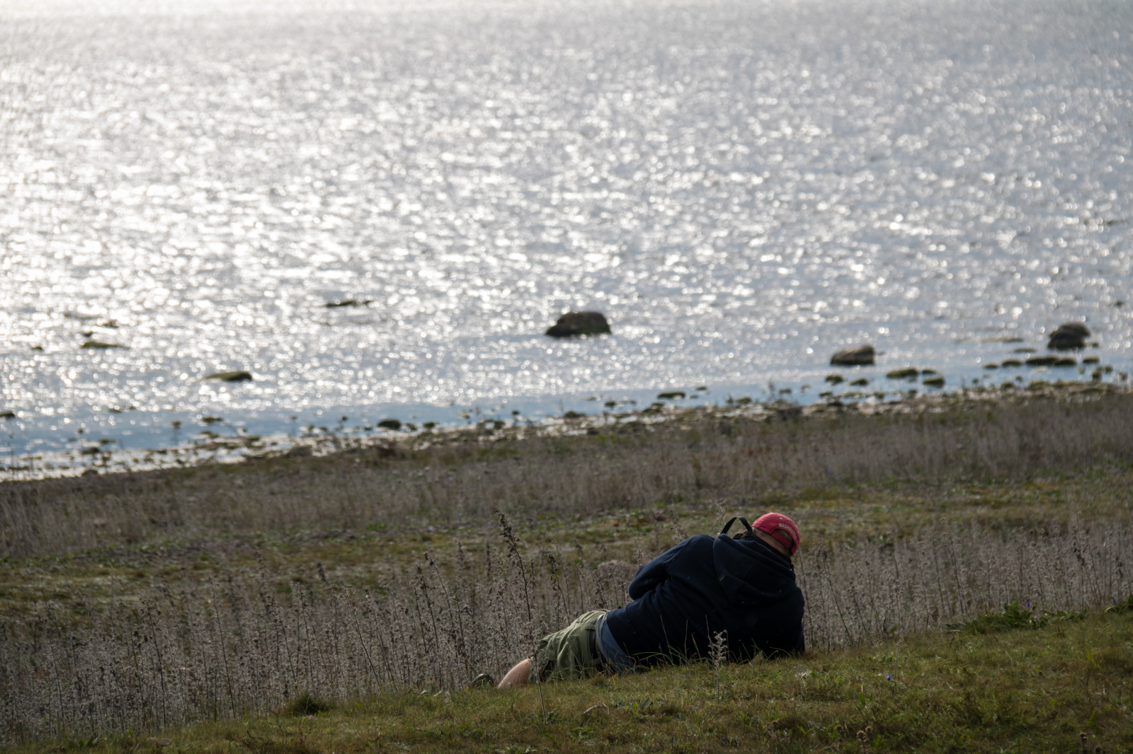 ทะเล, ชายฝั่ง, ช่างภาพ, ทุนดรา, นก, Gotland, attackfoto, โจมตี 8, n r, n rsholmen, โคลน