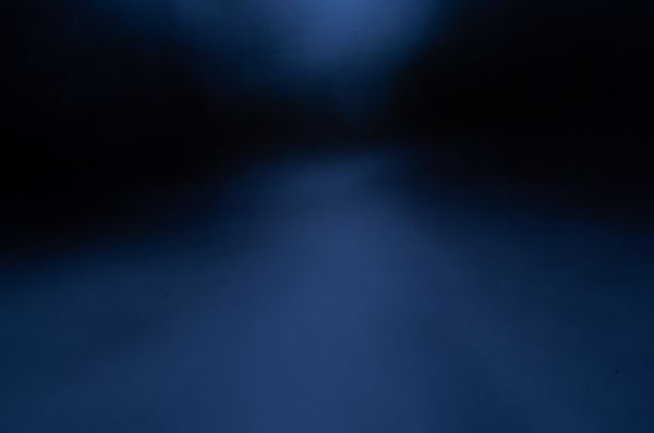 abstract,texture,blue and green,forest