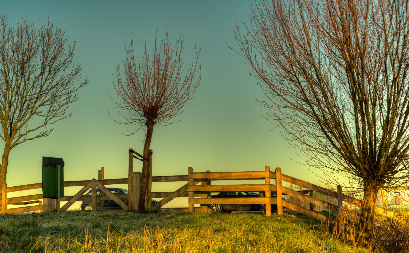 nebe, strom, pole, ráno, rostlina, větev, večer, list, tráva, slunečnímu záření, tráva rodina, venkov, prérie, mrak, krajina, svítání, jaro