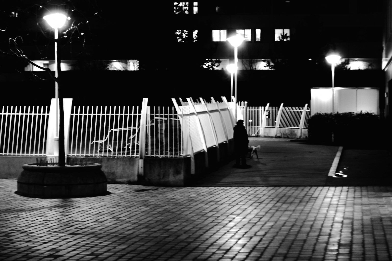 pouliční osvětlení, bílý, Černá, černobílý, noc, architektura, voda, odraz, nebe, stín, fotografování, večer, Pes, výstup, půlnoc, infrastruktura, úhel, světlo, osvětlení, Street View, tma, nuit, chien, noiretblanc, blackandwithe, photoderue, momentka, urbanarte, paris13, photopascalcolin, Černý a bílý, monochromatické fotografování, svítidlo, výpad