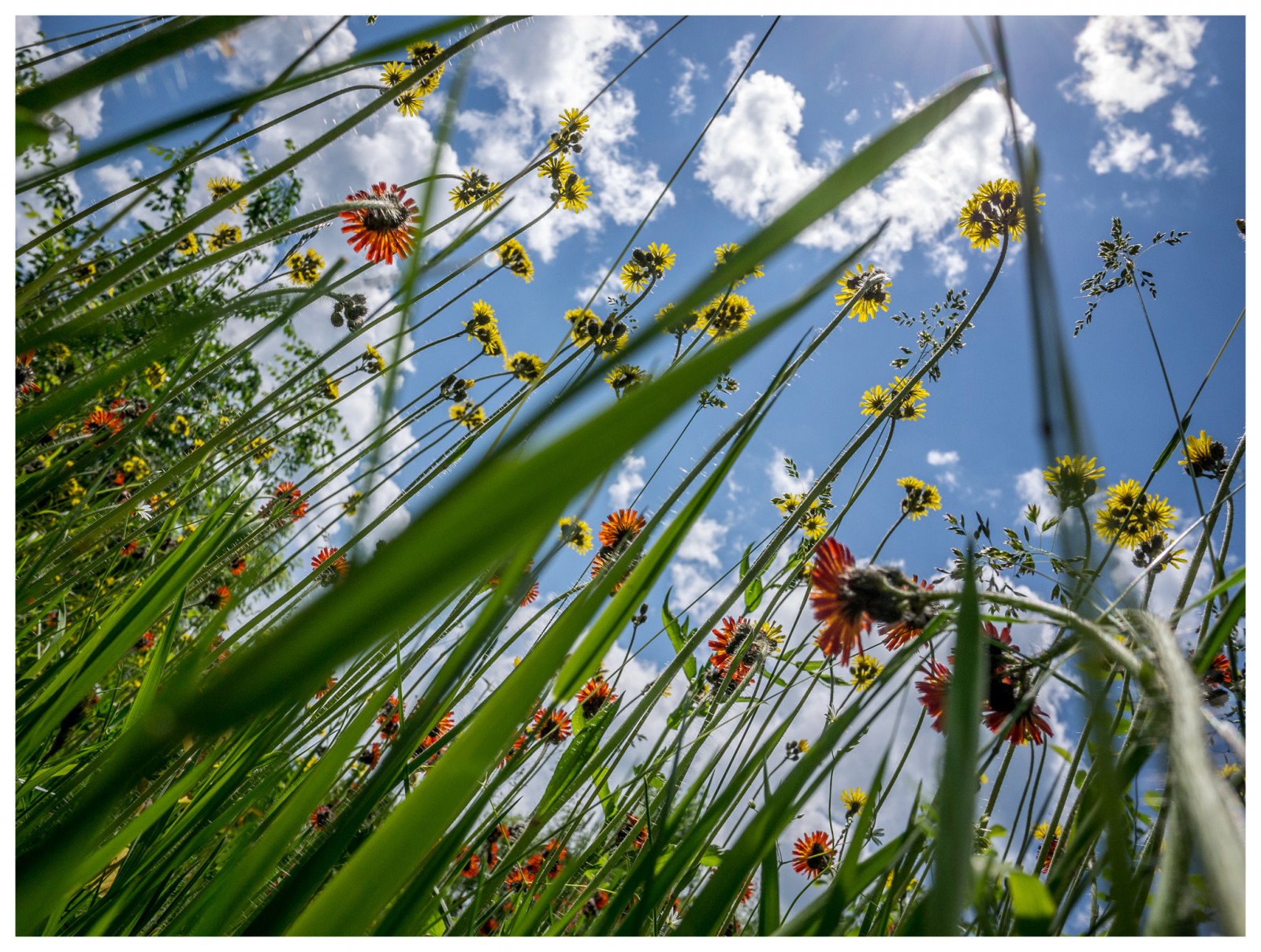 inverno, ritratto, persone, fiore, macro, Mela, bellissimo, Guarda, moda, digitale, Wow, divertimento, sfogo, foto, blog, grande, Nikon, amico, giorno, Quebec, esploratore, scienza, immagini, vert, bug, professionale, ciel, fortuna, passione, prendere, eccessivo, NIKKOR, arbre, Raro, numerique, compatto, Facebook, merde, risultati, Bibitte, douceur, translucide, Aubry, Youtube, Dingue, maoby