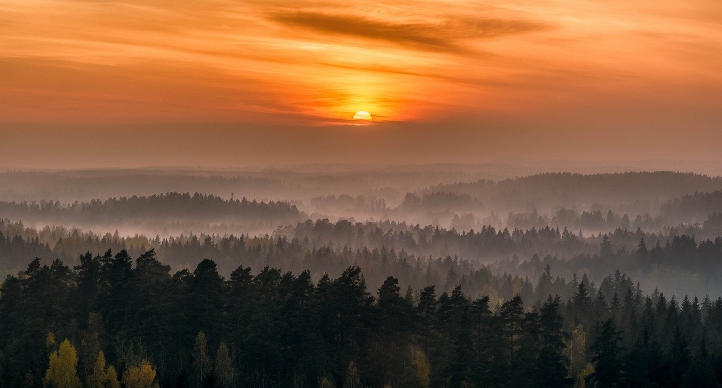 luce del sole, alberi, paesaggio, foresta, tramonto, collina, natura, riflessione, cielo, nuvole, Alba, sera, mattina, nebbia, atmosfera, crepuscolo, nube, autunno, nebbia, montagna, tempo metereologico, alba, fenomeno atmosferico, ultimi bagliori, morfologie montane, cielo rosso al mattino, 1429x768 px