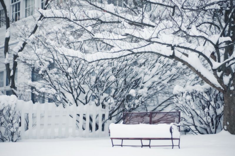 snow, drawing, monochrome, winter, artwork, branch snow, drawing, monochrome, winter, artwork, branch
