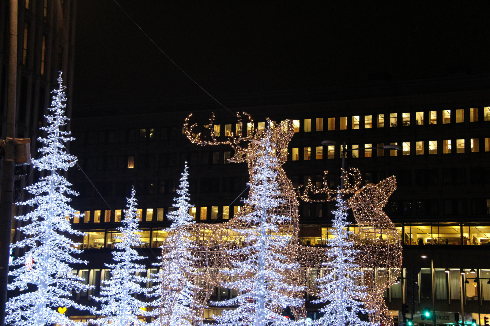 světla, noc, odraz, smrk, Vánoční strom, Vánoce, Stockholm, Vánoční osvětlení, světlo, osvětlení, dekorace, granar, reddeer, kronhjort, vánoční dekorace