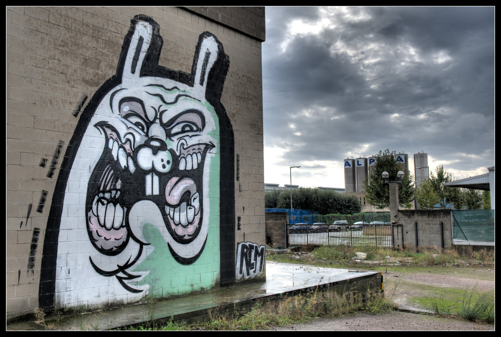 gade, væg, vej, tegneserie, Rem, graffiti, gadekunst, Østrig, Barcelona, vægmaleri, KUNST, træ, øje, kanin, bevægelse, Hurtig, tegneserie, granollers, nychos, visual arts