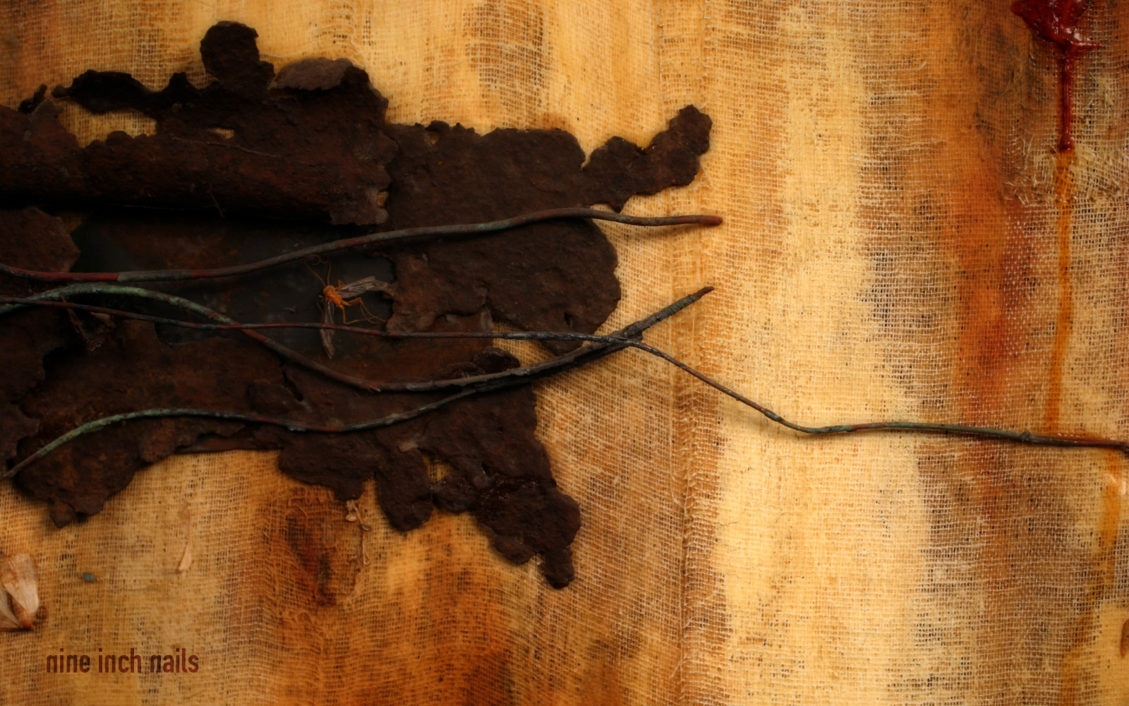 malování, stěna, dřevo, větev, textura, Nine Inch Nails, Sestupnou spirálu, UMĚNÍ, list, materiál, řezba, dávná historie, moderní umění, stálý život, smyčcový nástroj