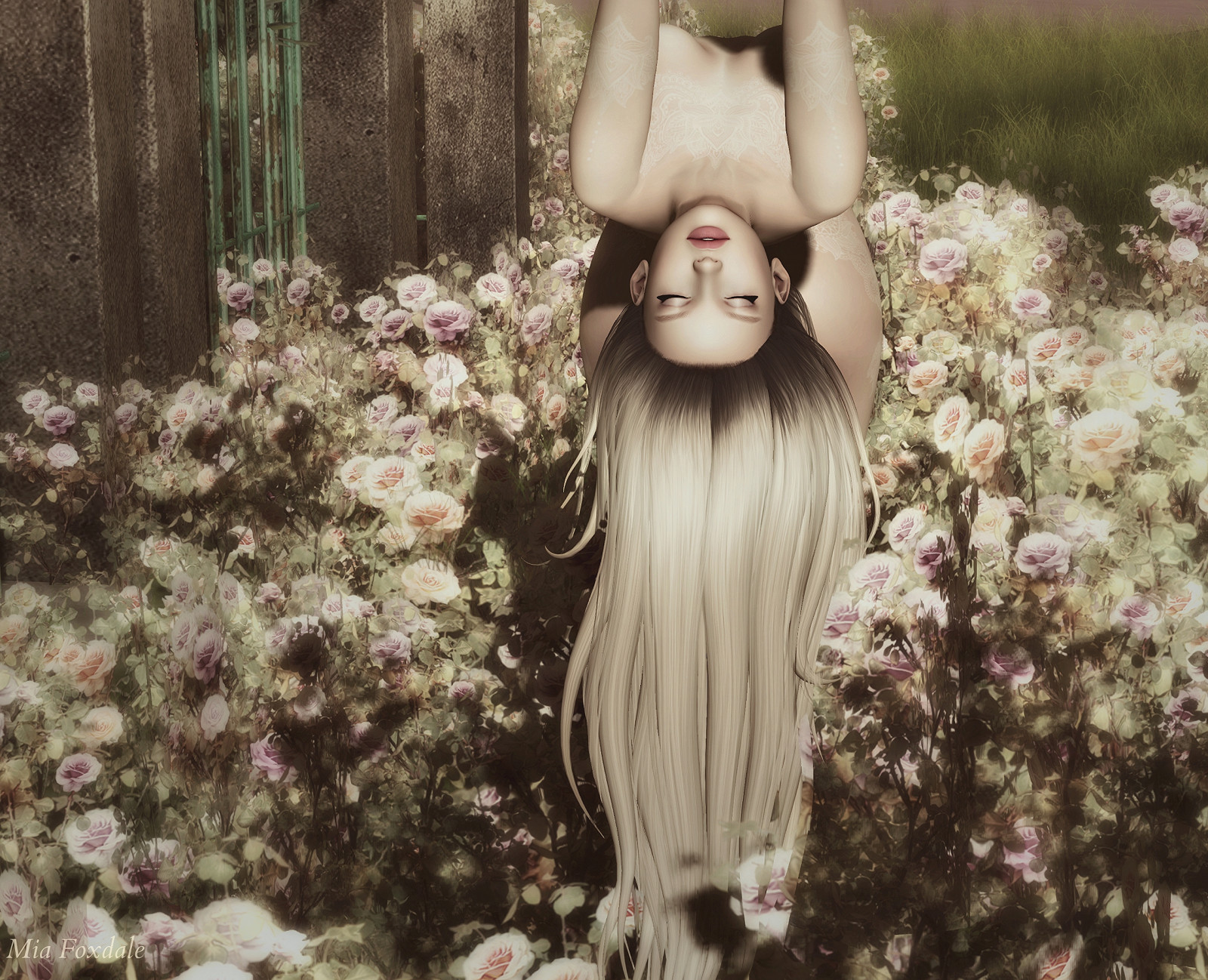 logo, ANC, tableauvivant, noční, bílá vdova, glamaffair