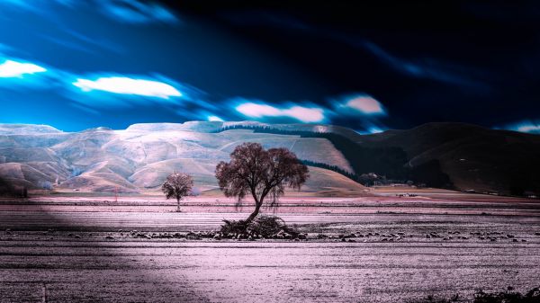 himmel,sollys,landskab,nat,natur,afspejling