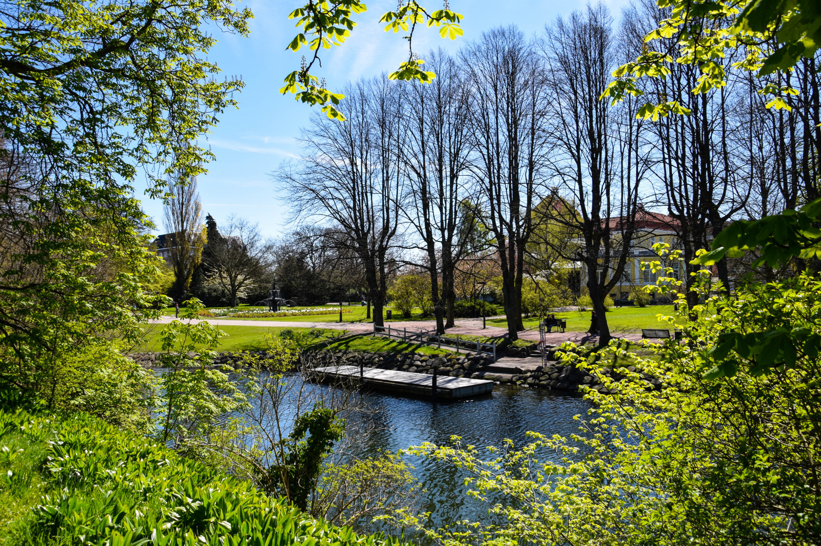 stromy, krajina, les, zahrada, město, jezero, Příroda, odraz, tráva, park, zelená, řeka, divočina, rybník, Švédsko, Evropa, Sverige, mokřadní, strom, podzim, list, květ, venkovní, sezóna, sk nel n, se, Malmo, Slottsparken, casinocosmopol, louka, zálesí, venkov, místo výskytu, přírodní prostředí, botanika, dřevina, Botanická zahrada