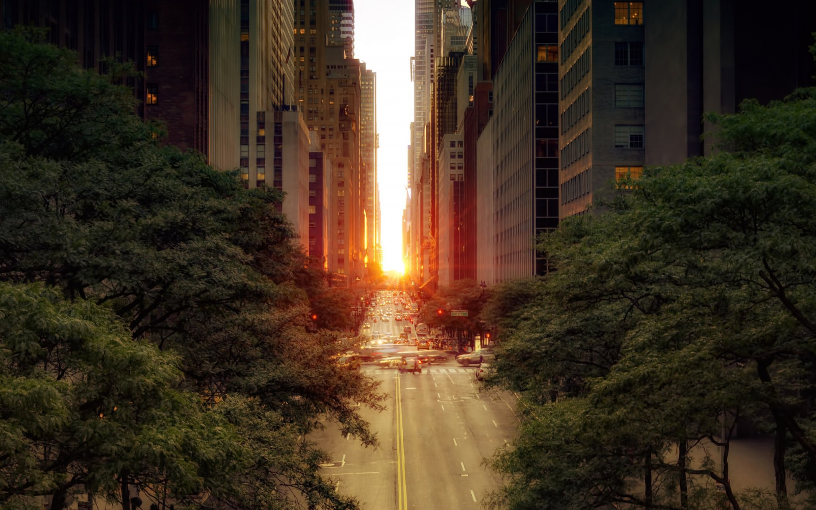 lumière du soleil, des arbres, paysage, le coucher du soleil, ville, rue, Paysage urbain, nuit, Urbain, bâtiment, réflexion, ciel, route, la photographie, soir, Feu, La ville de New York, lumière, arbre, capture d'écran, caractéristique de l'eau