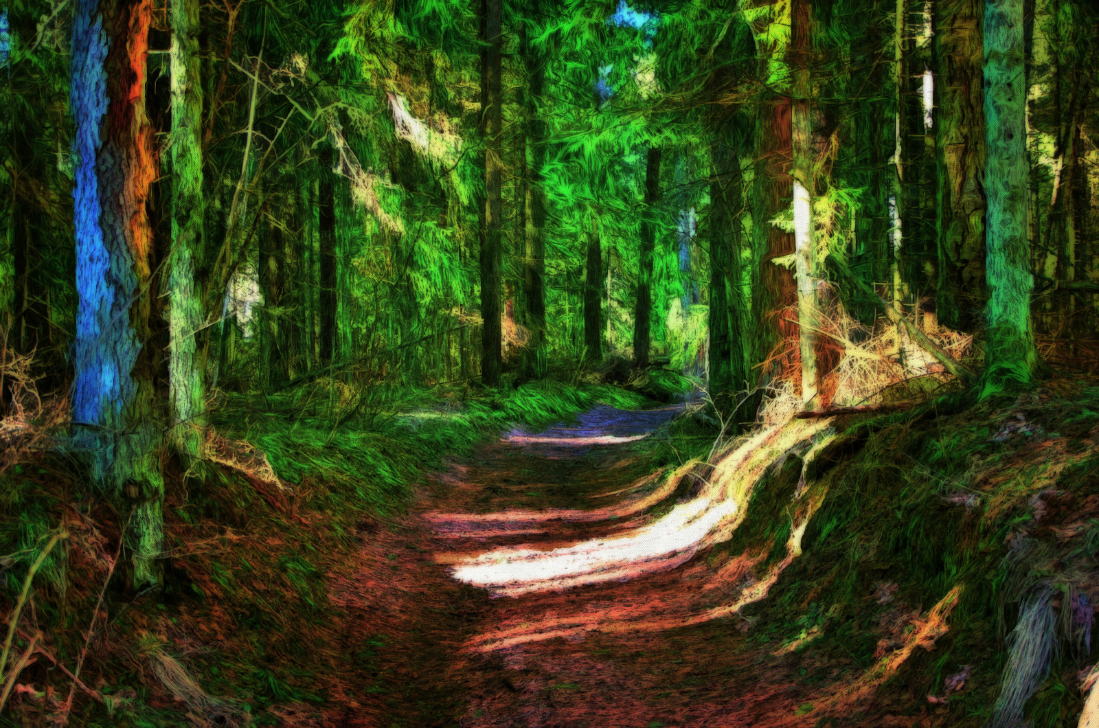 slunečnímu záření, les, Photoshop, divočina, džungle, jaro, bažina, deštný prales, Estonsko, mokřadní, strom, podzim, umělecký, digitální, tvořivý, photomanipulation, postprocessed, topazimpression, PhotoArt, malířské, zálesí, místo výskytu, přírodní prostředí, dřevina, geografický rys, digiart, ekosystém, mírné jehličnatý les, biome, kufr, prales, smíšený les, opadavý, ON1, kalevvask, vklouznout do vody, ownphotoandcreation, myownphoto