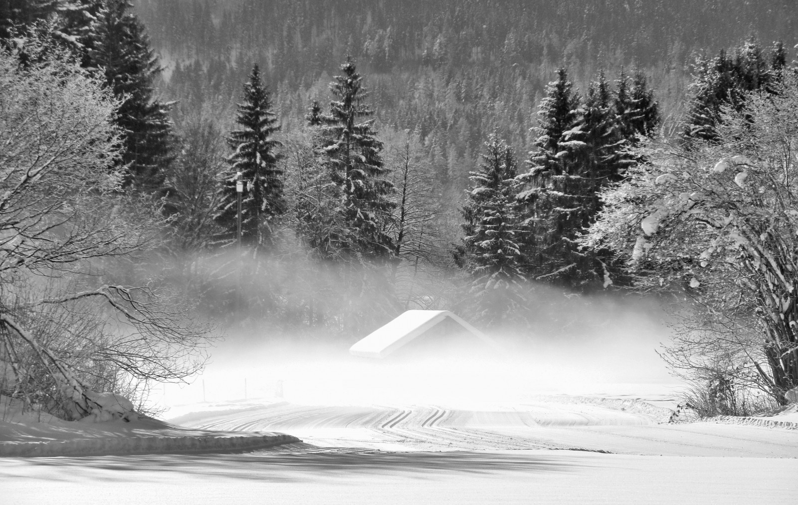 bianco e nero, nebbia, nebbia, rurale