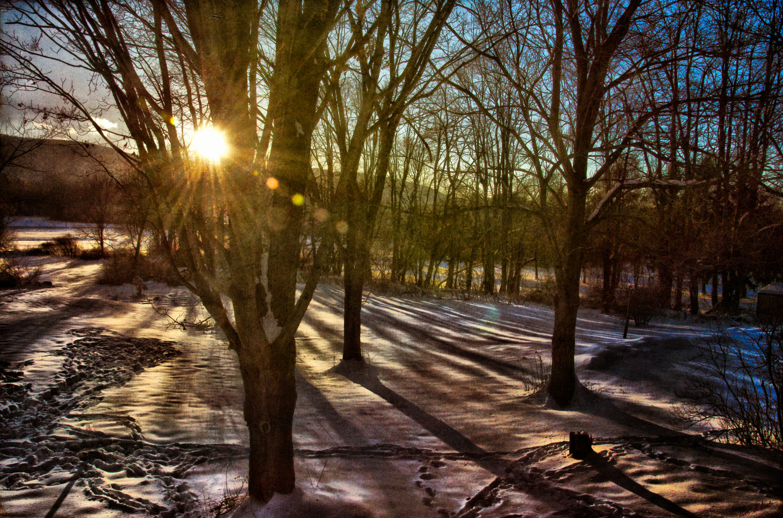 slunečnímu záření, stromy, krajina, les, západ slunce, Příroda, odraz, nebe, sníh, zima, větev, svítání, večer, ráno, řeka, HDR, divočina, soumrak, Connecticut, mokřadní, světlo, strom, podzim, stíny, list, sezóna, zálesí, místo výskytu, přírodní prostředí, atmosférický jev, dřevina