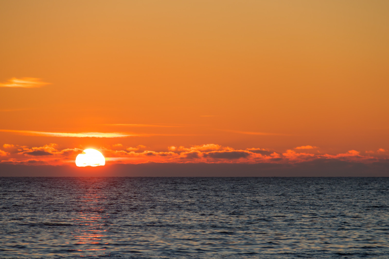 Sonnenlicht, Sonnenuntergang, Meer, Himmel, Winter, Sonnenaufgang, Abend, Morgen, Küste, Sonne, Horizont, Dämmerung, Wolke, Dämmerung, Ozean, Solnedg ng, Vinter, Hav, Trelleborg, Kust, V strasm b tshamnen, Nachglühen, Roter himmel am morgen