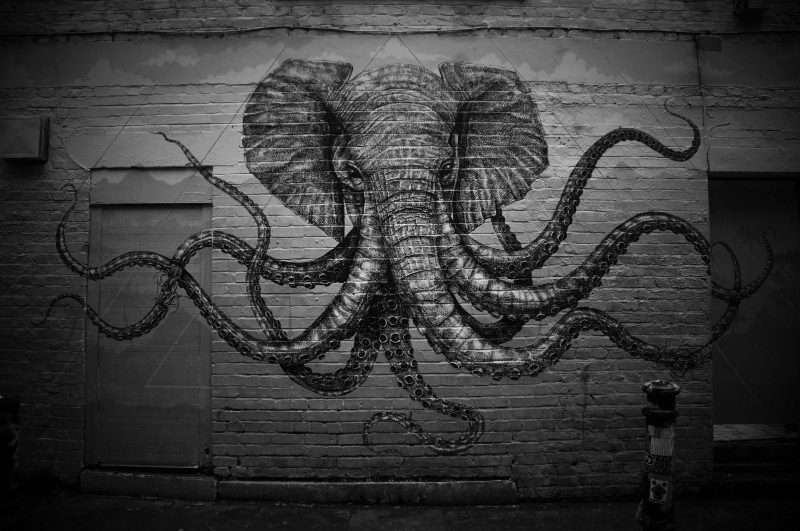 dibujo, negro, ilustración, monocromo, pared, simetría, pintada, Base de pared, ART, oscuridad, en blanco y negro, Fotografía monocroma, 2947x1958 px
