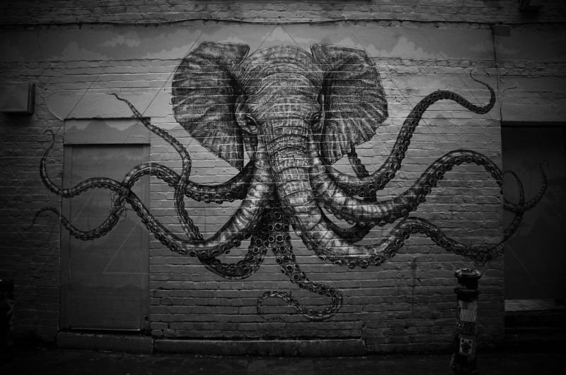 dibujo, negro, ilustración, monocromo, pared, simetría dibujo, negro, ilustración, monocromo, pared, simetría