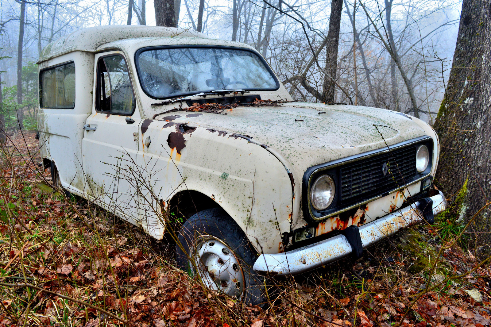 motorové vozidlo, auto, vozidlo, off road, hatchback, renault 4, střední velikost auta, compact van, strom, rodinný vůz
