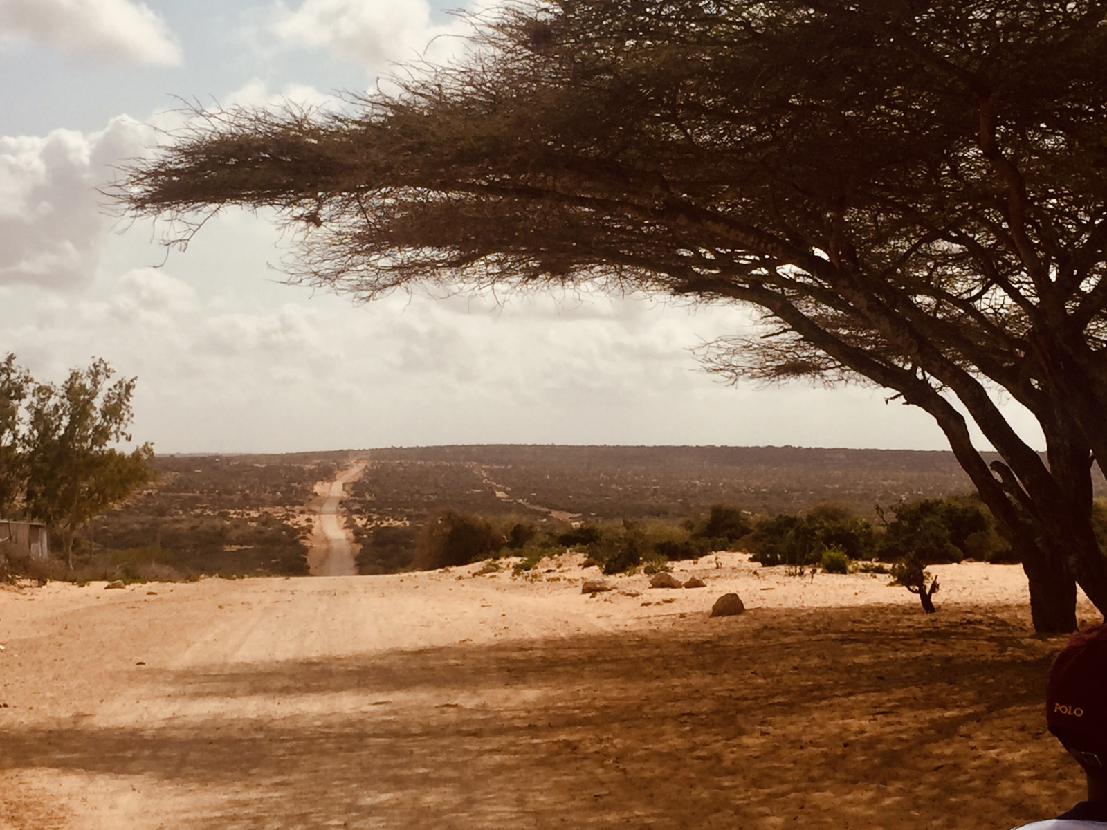 mrak, rostlina, nebe, plant community, strom, Natural landscape, větev, slunečnímu záření, dřevo, tráva, krajina, prostý, silnice, odstín, lučina, kufr, Tints and shades, horizont, Volně žijících živočichů, půda, kopec, arecales, pole, zima, Prašná silnice, západ slunce, Skála, večer, pastvina, les, stín, svítání, dějiny, monochromatické fotografování, písek, dávná historie, černobílý, savana, zálesí, křoviny, vádí, moře, dovolená, podsvícení, stezka