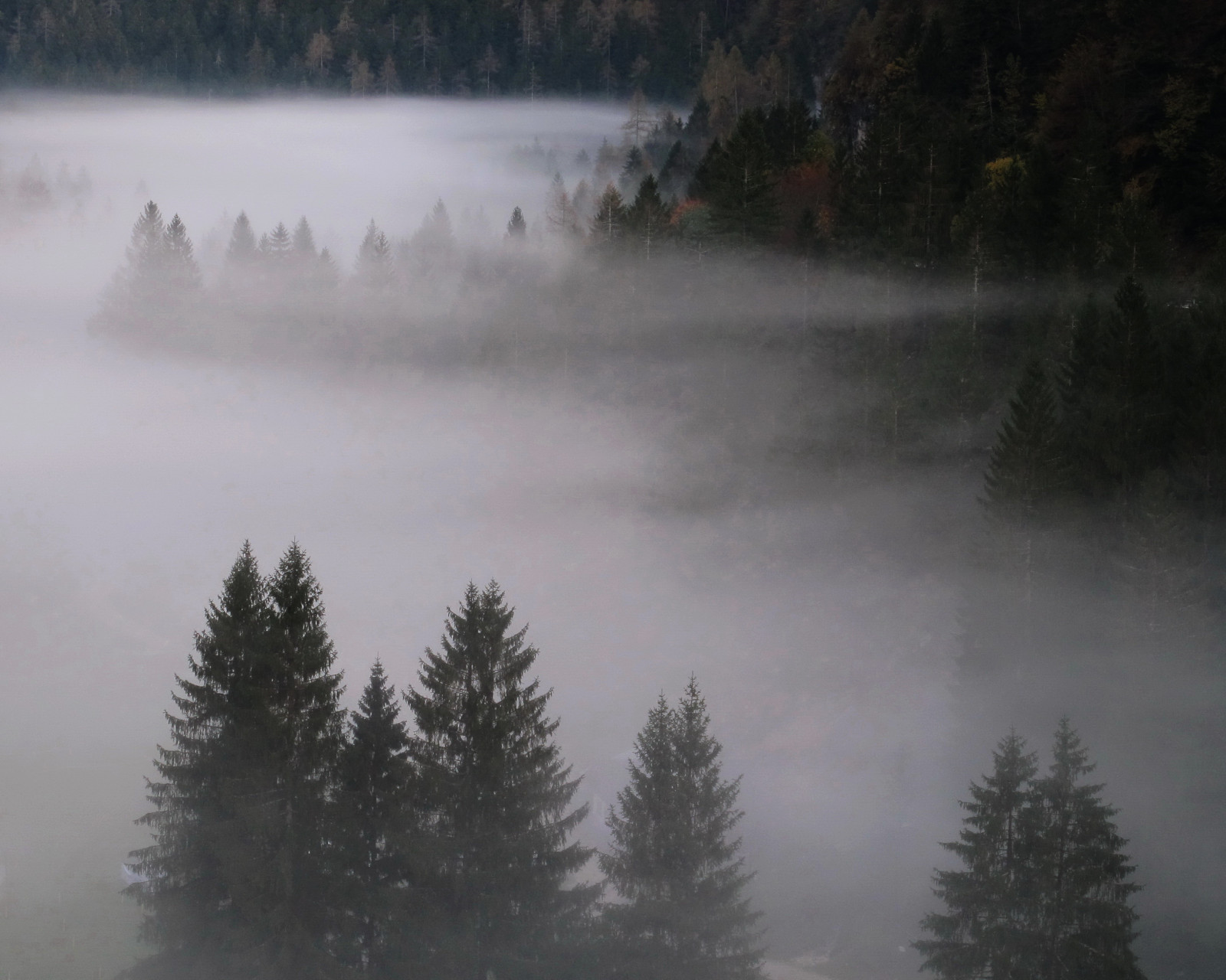 mlha, Marina, Nebbia, trentino, To je tak krásné, Casteltesino, doubleniceshot, mygearandme, mygearandmepremium, mygearandmebronze, mygearandmesilver, mygearandmegold, canong12, mygearandmeplatinum, mygearandmediamond, ringexcellence, blinkagain, bestofblinkwinners, artistoftheyearlevel2, blinkagainsuperstars, blinksuperstar, Parcolacascatella, Stradaroa